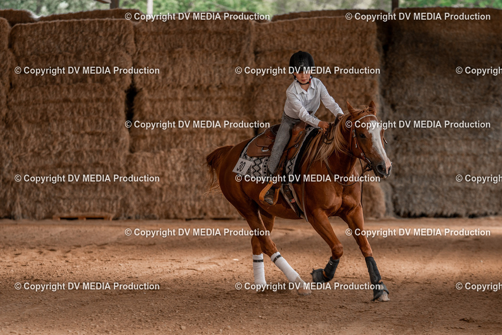 Balingen Tag 2-1130 | dv-media-shop - Realisiert mit Pictrs.com