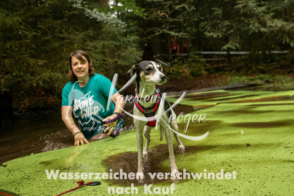 1210_ZZ92887-Bearbeitet | kk-dogfotos