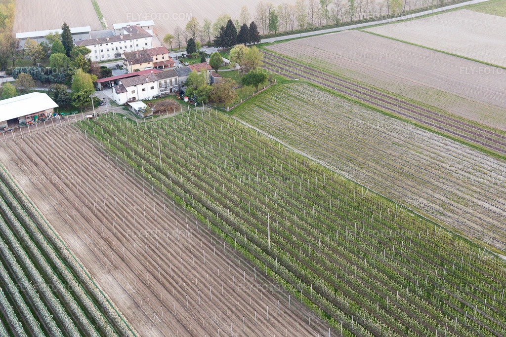 Aerial view: View of the town in Domanins in the state Friuli Venezia Giulia, Italy. – Photo: IMG_099005.jpg taken on 04/08/2017 by Werner Riehm/FLY-FOTO.com – Resolution of the original: 5472 x 3648 px