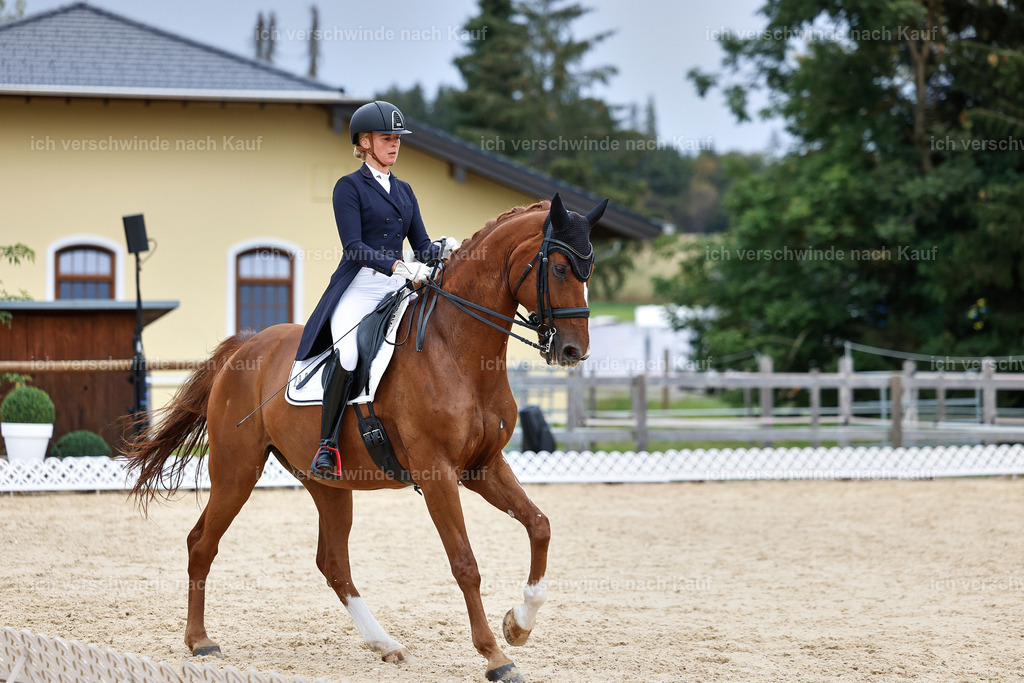 11-238-Dressur S___-StoibPH-984 | working equitationturnier fotograf videograf stoibphotography marixx film working equitation deutschland reitsport turnierfotografie eventfotografie equestrian events