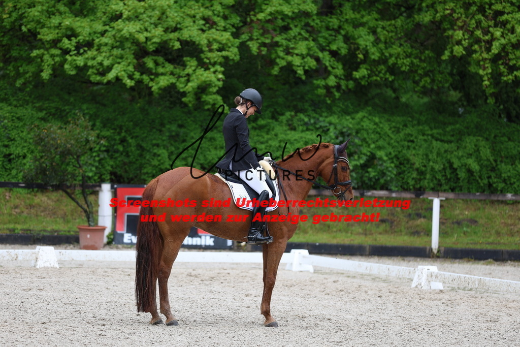 A40A9559 | lmwpictures - Realisiert mit Pictrs.com