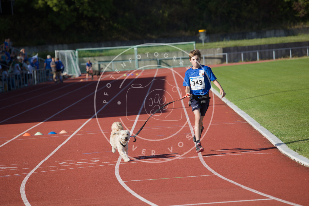 0L8A9123 | Hundefotografie, Tierfotograf, Pfotenfotografie, Fotoshooting Hund, Hunde Portrait, Hundesport, Hundeportraits, Heideshooting, Hunde, Sportfotograf, Hundefotograf, Turnierhundsport, THS,  - Realisiert mit Pictrs.com