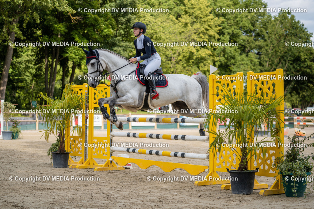 Hessische Tag 1-1018 | dv-media-shop - Realisiert mit Pictrs.com