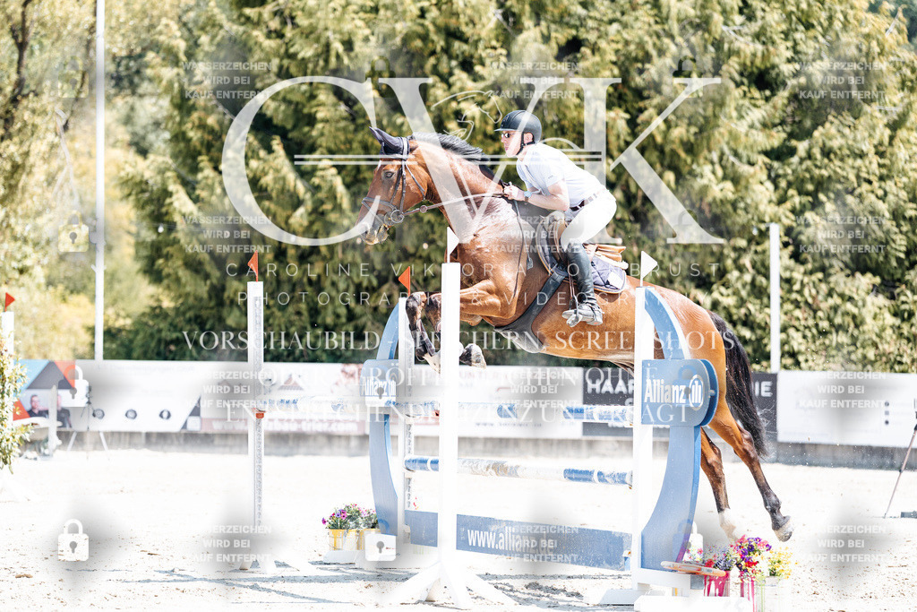 CK900538 | Turnierfotografie Pferdefotografie Trier Rheinland-Pfalz Pferdesport Reitsport Tierfotografie Sportfotografie Pferdevideo Pferdevideografie Equestrianvideography equestrianphotography  - Realisiert mit Pictrs.com