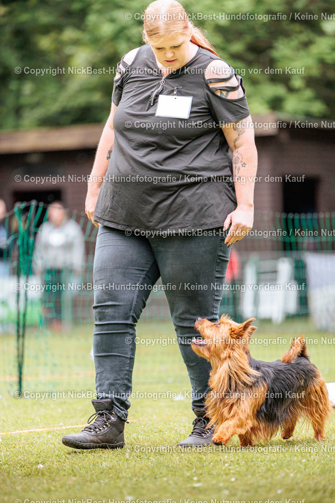 RO-Blumenthal-2026-Nickbest-Hundefotografie-2173 | Dein Hund! Dein Moment! Deine Erinnerungen! Hundefotografie in Bremen Blumenthal. Ich fange die besonderen Momente deines Vierbeiners ein – ob Indoor mit Blitzanlage oder in der freien Natur. Sicher dir dein Moment und dein Termin für eure Erinnerungen.
