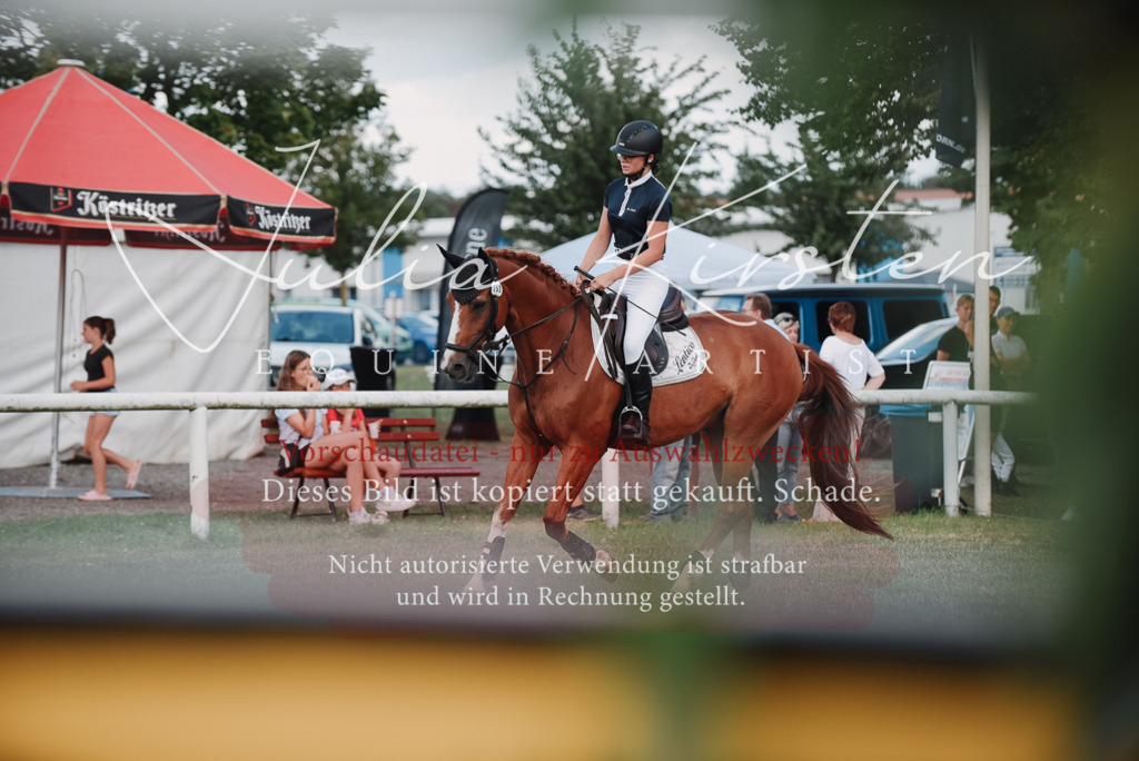 DSC_5612 | Pferde- und Turnierfotografie in Westsachsen. Pferdeportraits, Auftragszeichnungen und intuitive Kunst.