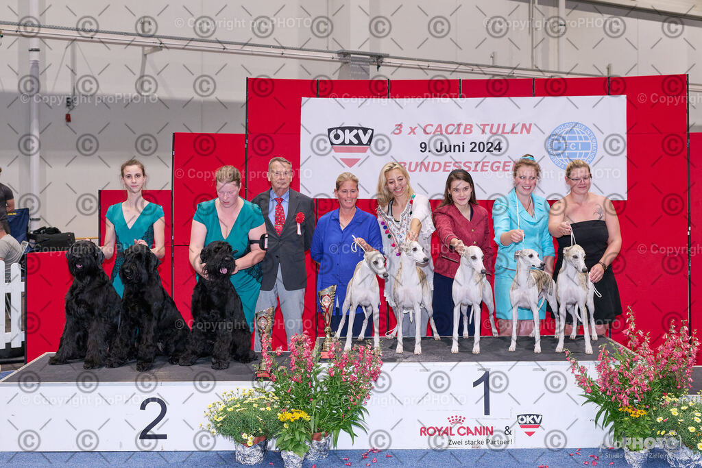 202406_ÖKV-IHA-Tulln24_NZ9_9485 | proPHOTO - Realisiert mit Pictrs.com