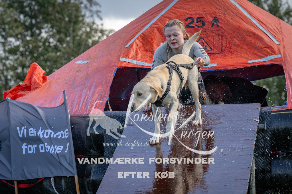 1255-90130 | kk-dogfotos