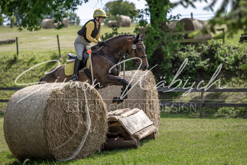 20260523-_3LI9161 | Tierfotografie Pferde, Hunde, Katzen, Haustiere.
Turnierfotografie Reitturniere, Reiten, Springreiten, Dressur in Hanau, dem Main-Kinzig-Kreis und dem Rhein-Main- Gebiet um Frankfurt