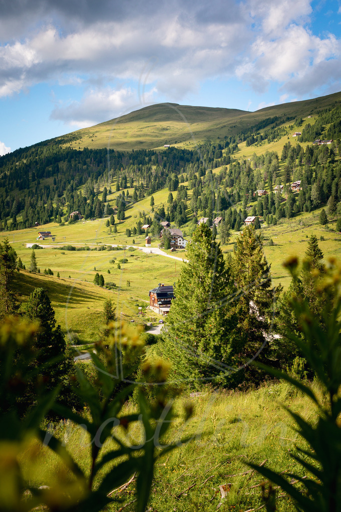 Sommer in Schönfeld | Ihre Fotografin im Lungau, ihre Fotografin im Mostviertel, Wandbilder Onlineshop, Imagefotos für Ihr Unternehmen,  - Realisiert mit Pictrs.com