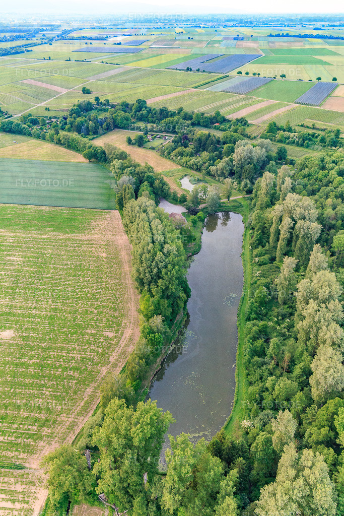 Weiher des ASV Klares Wasser Inshein am Quodbach https://asv-insheim.de/ | Luftbild: Weiher des ASV Klares Wasser Inshein am Quodbach https://asv-insheim.de/ in Insheim im Bundesland Rheinland-Pfalz in Deutschland. Foto: IMG_100594.jpg vom 01.06.2017 durch Werner Riehm/FLY-FOTO.de - Realisiert mit Pictrs.com