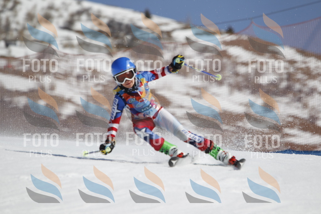 _U3G9601 | holidayphoto