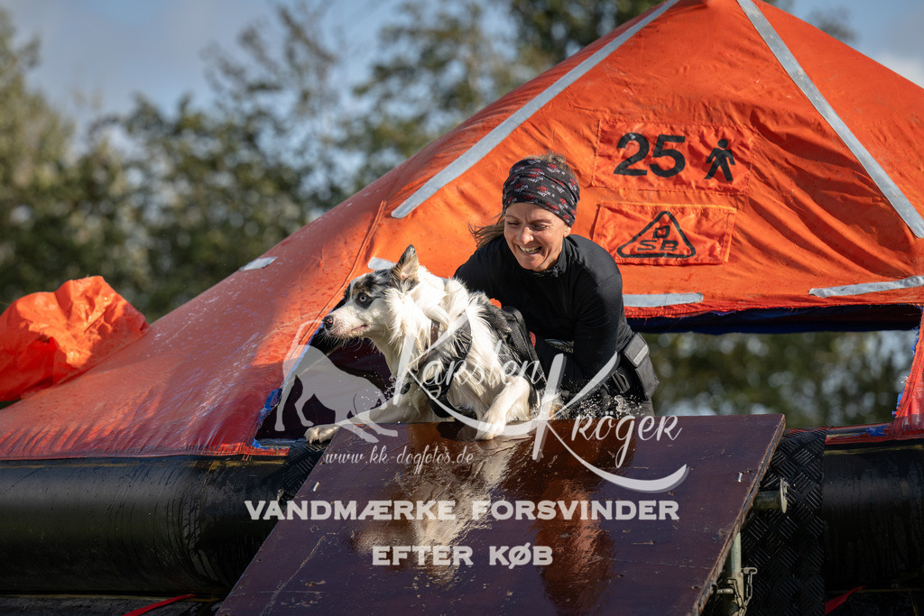 1431-94398 | kk-dogfotos