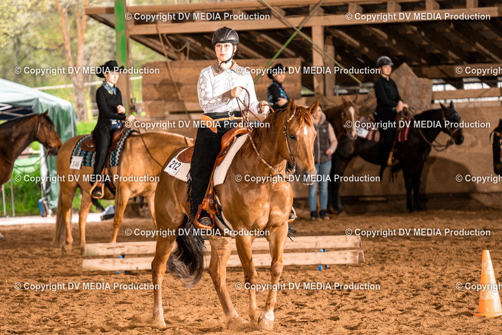 BAL00246 | dv-media-shop - Realisiert mit Pictrs.com