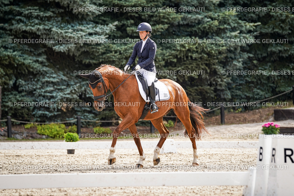 DSC07508 | Pferdegrafie