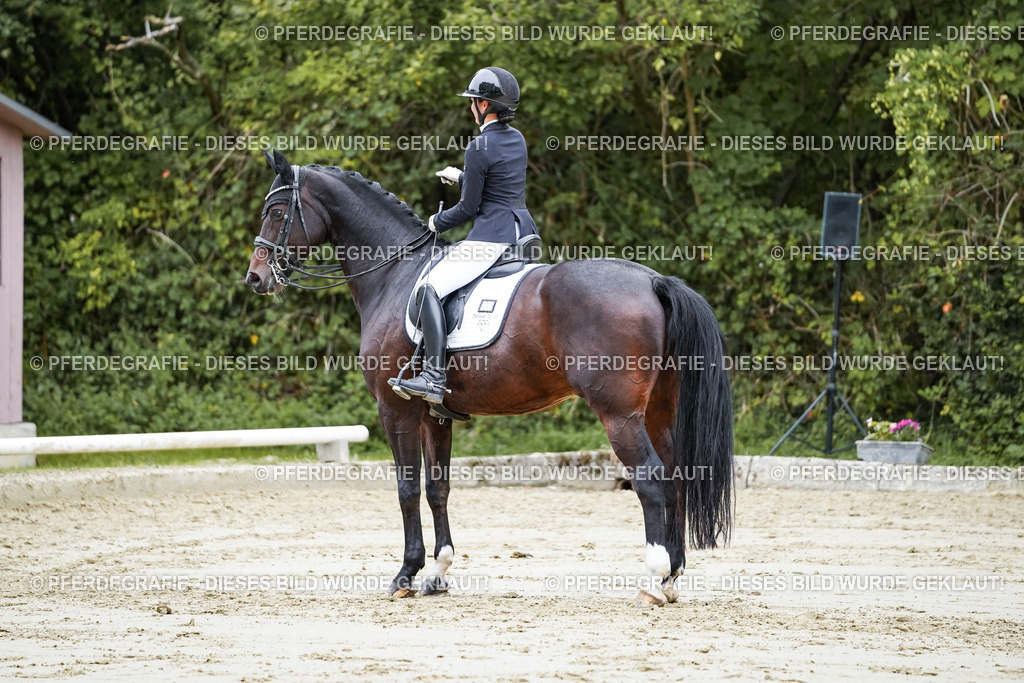 DSC09199 | Pferdegrafie