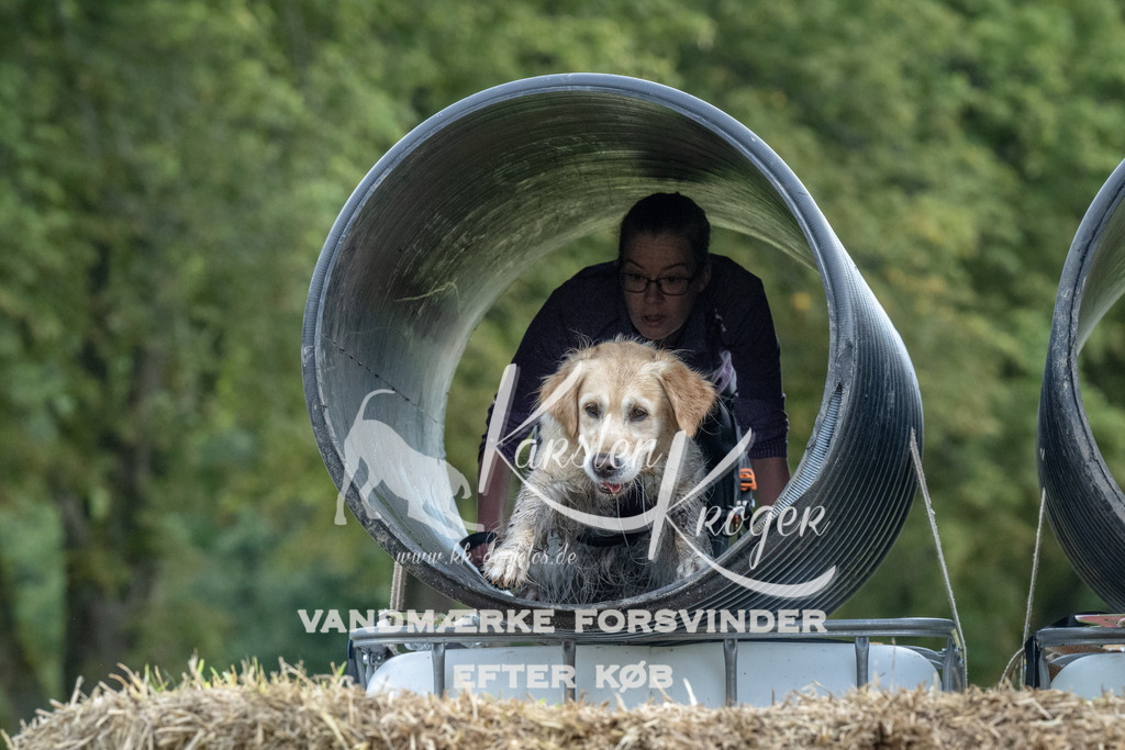 1035_ZZ92526 | kk-dogfotos