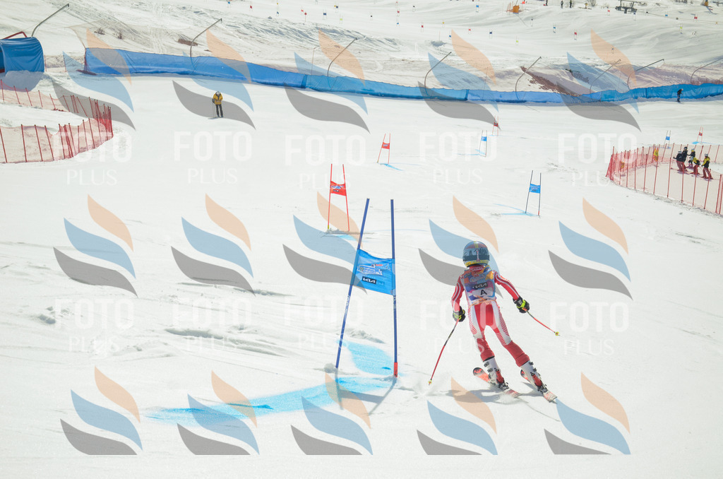 _ELE4285 | holidayphoto