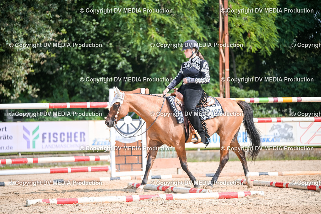 ZS2_3554 | dv-media-shop - Realisiert mit Pictrs.com