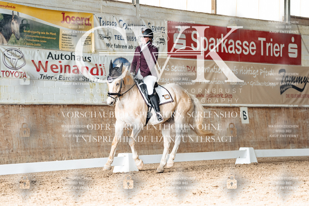 CK902670 | Turnierfotografie Pferdefotografie Trier Rheinland-Pfalz Pferdesport Reitsport Tierfotografie Sportfotografie Pferdevideo Pferdevideografie Equestrianvideography equestrianphotography  - Realisiert mit Pictrs.com