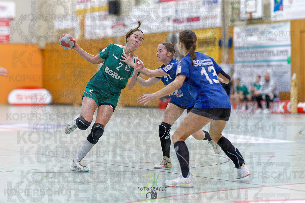 Jugenbundesliga wJB; HSG Kleenheim/Langgöns - SG Kappelwindeck/Steinbach | Jugenbundesliga wJB; HSG Kleenheim/Langgöns - SG Kappelwindeck/Steinbach am 23.11.2025 in Oberkleen (Weidig-Halle)Photo © 2025 - Jörg Heinrich - Realisiert mit Pictrs.com