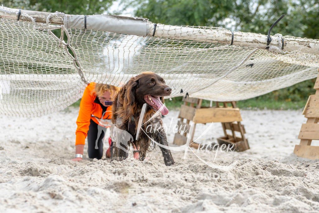 1504_ZZ92837 | kk-dogfotos