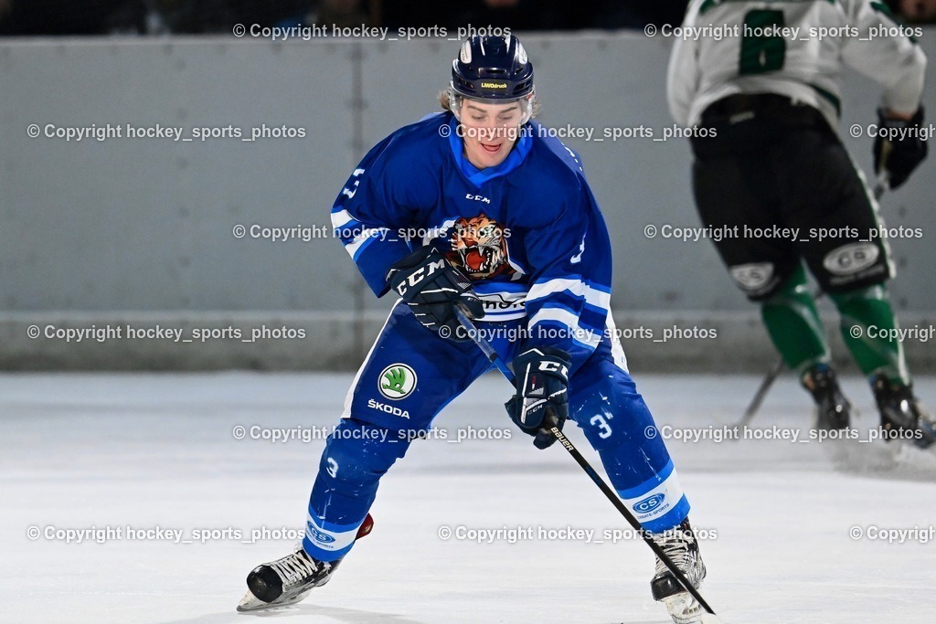 EC Ice Tigers Paternion vs. DSG Ledenitzen Faakersee 14.1.2024 | #3 Kronawetter Piersilvio