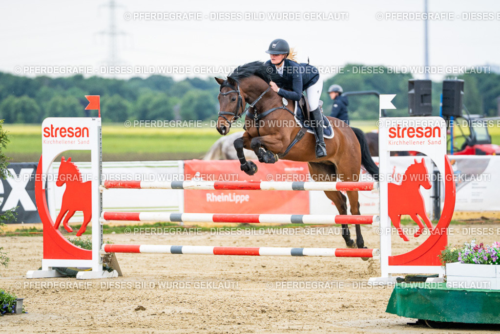 DSC05817 | Pferdegrafie