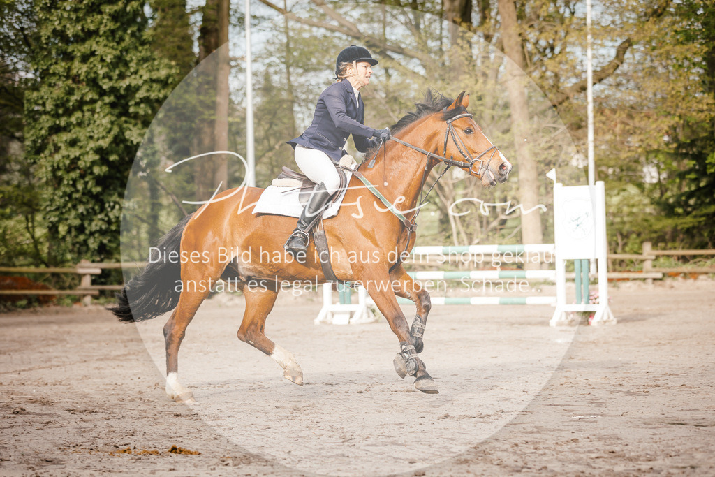 3I6A3250 | Stimmungsvolle Portraits und Reitsportfotografie im Ruhrgebiet und im Münsterland.

Pferdefotografie, Hundefotografie, Tierfotografie, Reportagen, Portraits von Tier und Mensch, Turnierfotografie in Bochum, Recklinghausen, Marl, Haltern am See, Dülmen.. - Realisiert mit Pictrs.com