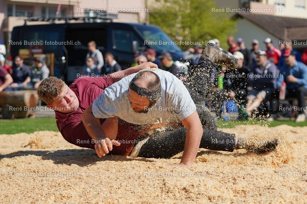 20220418-DSC06848 | René Burch leidenschaftlicher Fotograf aus Kerns in Obwalden.  Hier finden sie Sport, Landschaft und Natur Fotografie.
 - Realisiert mit Pictrs.com
