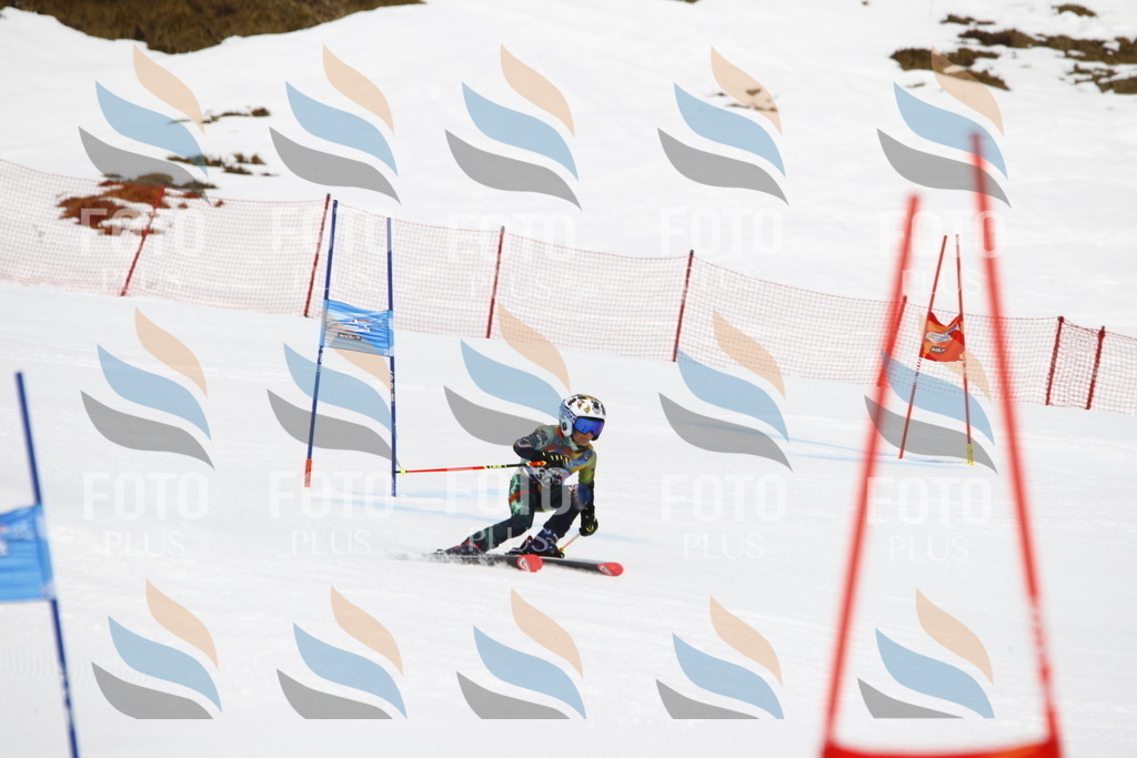 _U3G7582 | holidayphoto