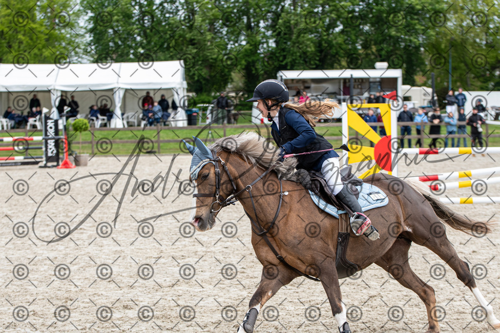 KPT_8229 | andre_photographic