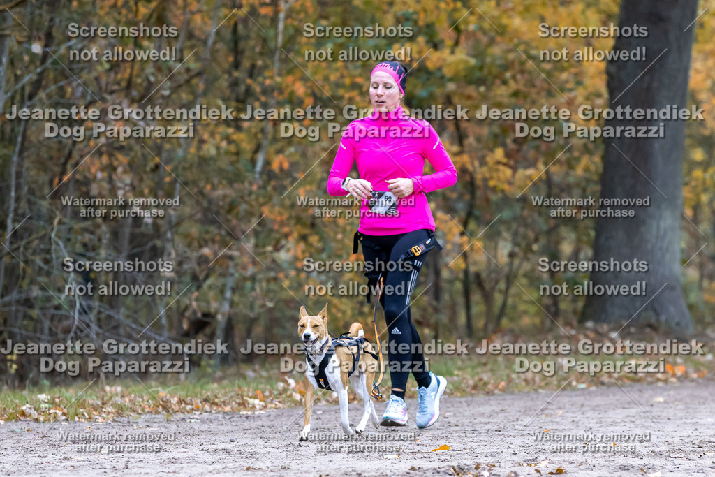 Dog Paparazzi - SD CaniX Championship 2025-396 | Dog Paparazzi Jeanette Grottendiek Fotografie & Videografie - Realisiert mit Pictrs.com