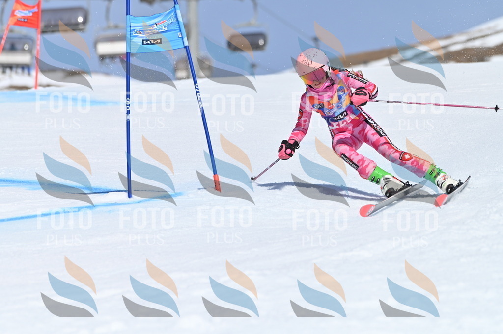 BGV_0002 | holidayphoto