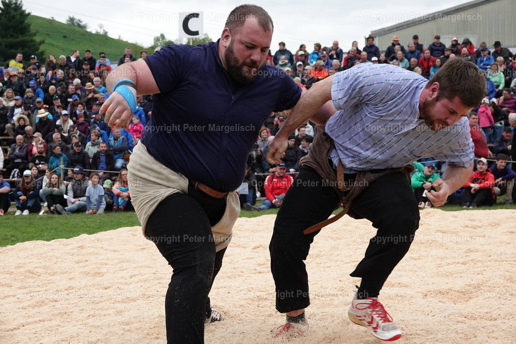 DSC03420 | Schwingen - Realisiert mit Pictrs.com