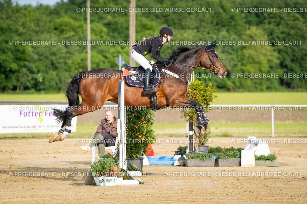 DSC02322 | Pferdegrafie