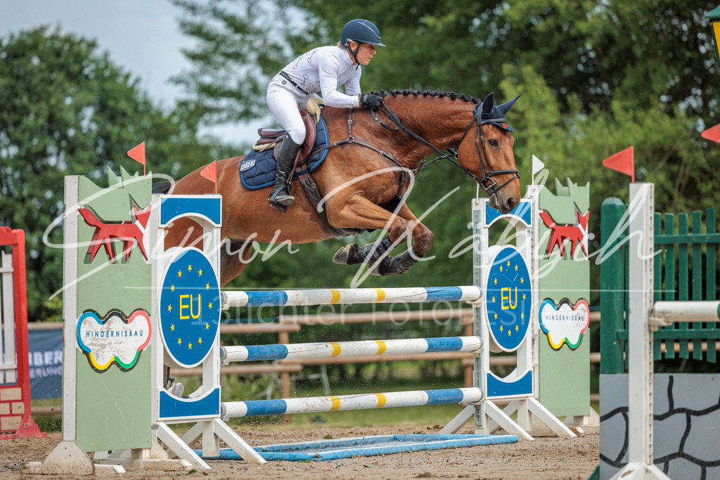 20260530-_3LI2966 | Tierfotografie Pferde, Hunde, Katzen, Haustiere.
Turnierfotografie Reitturniere, Reiten, Springreiten, Dressur in Hanau, dem Main-Kinzig-Kreis und dem Rhein-Main- Gebiet um Frankfurt