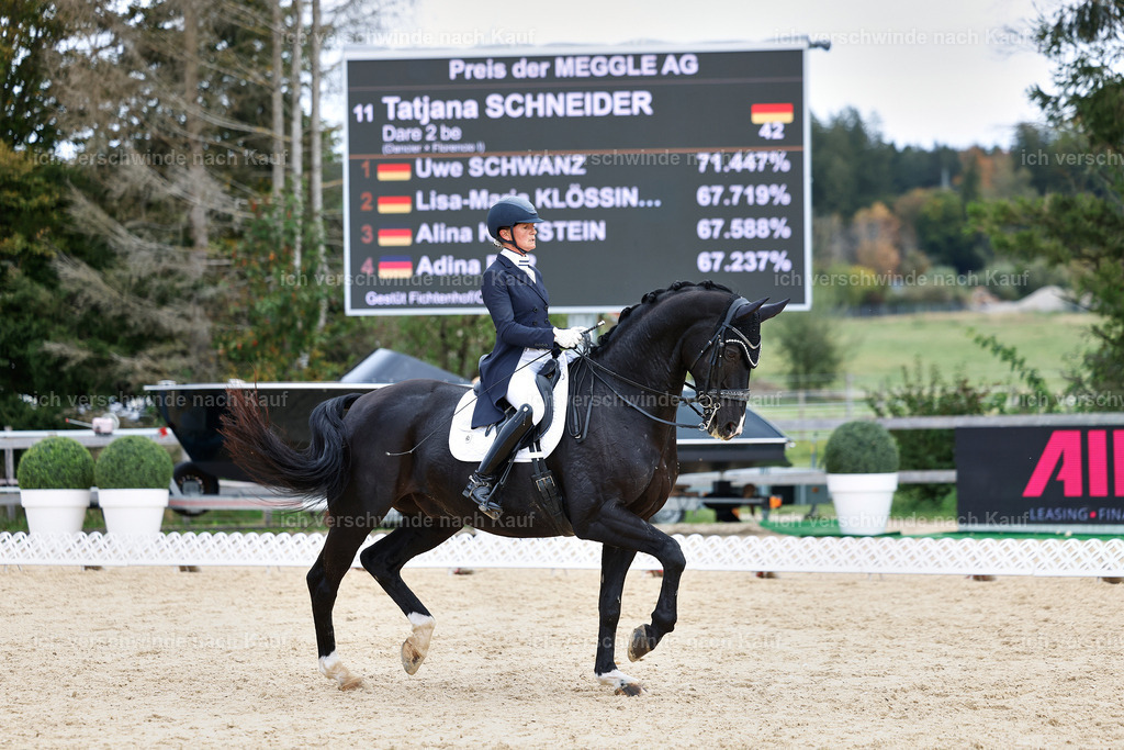11-042-Dressur S___-StoibPH-1219 | working equitationturnier fotograf videograf stoibphotography marixx film working equitation deutschland reitsport turnierfotografie eventfotografie equestrian events