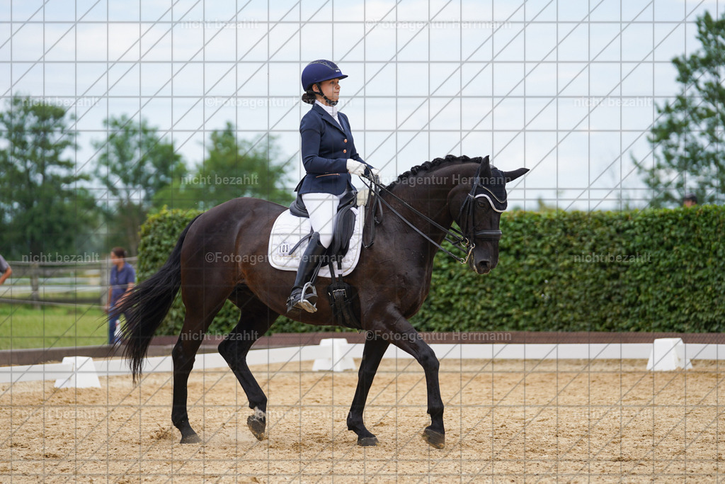 20240630-FAH02128 | Turnierbilder Schwabmünchen, Dressurbilder, Springreitturnier, Reitsportbilder, Turnierfotografen Bayern, Turnierfotograf