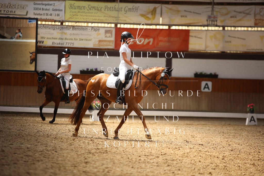 IMGM6667 | pl-fotografie