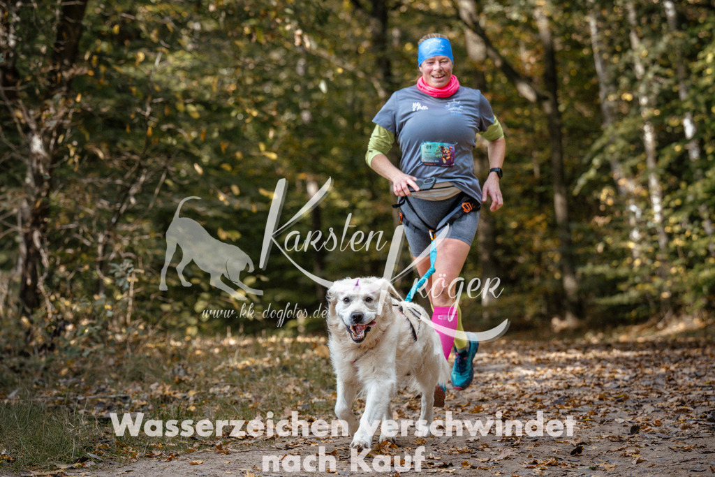 1310_ZZ97543 | kk-dogfotos