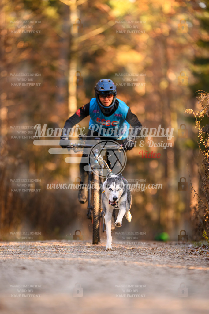 MompixPhotography_DM_AKDM_SO_2025_Bike-179 | PayLife