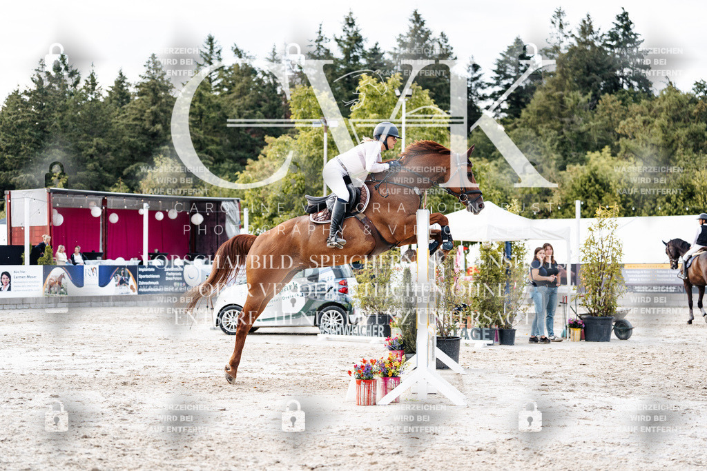 CK903941 | Turnierfotografie Pferdefotografie Trier Rheinland-Pfalz Pferdesport Reitsport Tierfotografie Sportfotografie Pferdevideo Pferdevideografie Equestrianvideography equestrianphotography  - Realisiert mit Pictrs.com