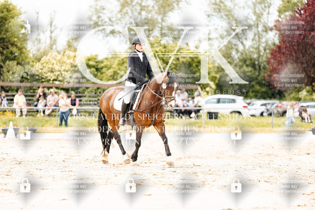 CK902778 | Turnierfotografie Pferdefotografie Trier Rheinland-Pfalz Pferdesport Reitsport Tierfotografie Sportfotografie Pferdevideo Pferdevideografie Equestrianvideography equestrianphotography  - Realisiert mit Pictrs.com