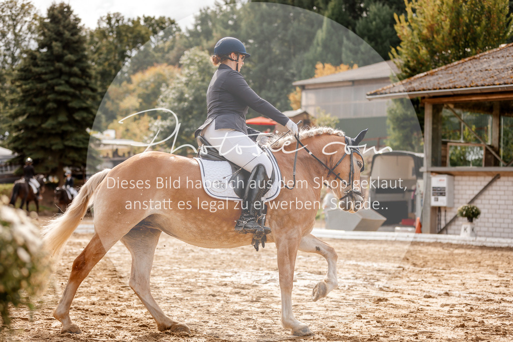 3I6A7351 | Stimmungsvolle Portraits und Reitsportfotografie im Ruhrgebiet und im Münsterland.

Pferdefotografie, Hundefotografie, Tierfotografie, Reportagen, Portraits von Tier und Mensch, Turnierfotografie in Bochum, Recklinghausen, Marl, Haltern am See, Dülmen.. - Realisiert mit Pictrs.com