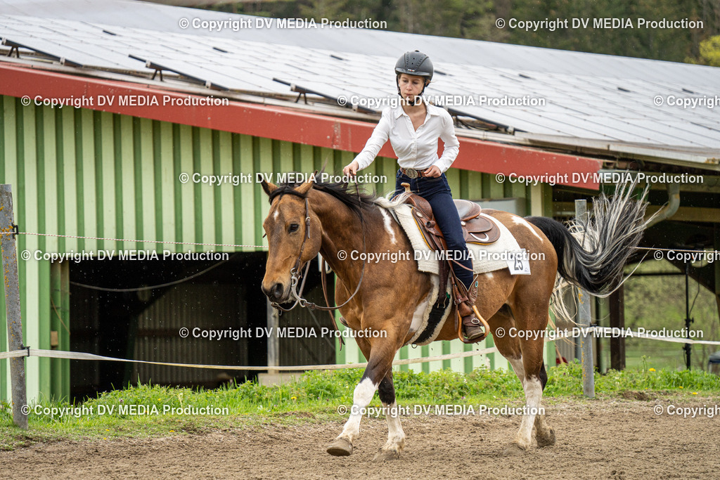 BAL00809 | dv-media-shop - Realisiert mit Pictrs.com