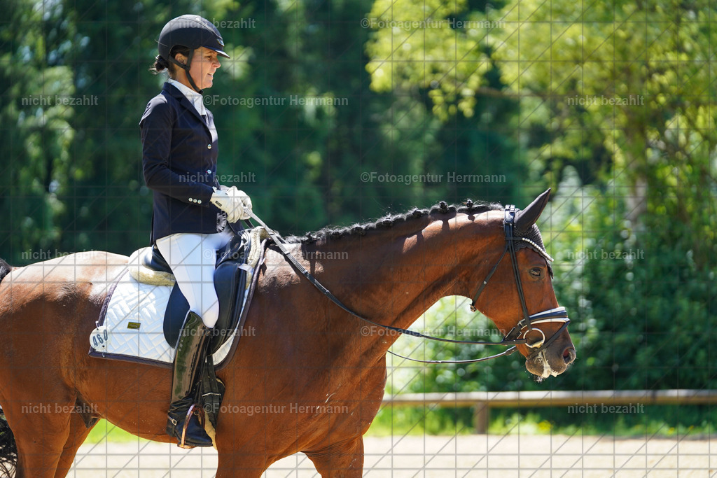 20240705-FAH03518 | Turnierbilder von Grafing, Reitsportbilder, Turnierfotos, Turnierfotografen Bayern, Pferdefotograf, Fotoagentur Herrmann