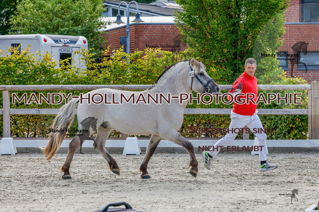 GK (645 von 759) | mandyhollmannphotographie