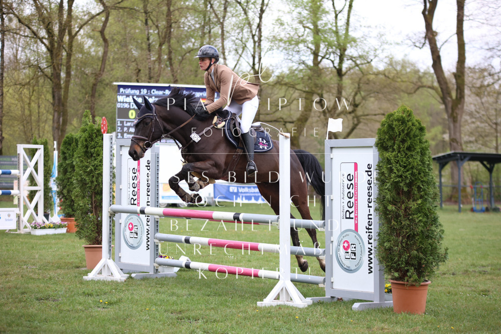 IMGT3282 | pl-fotografie