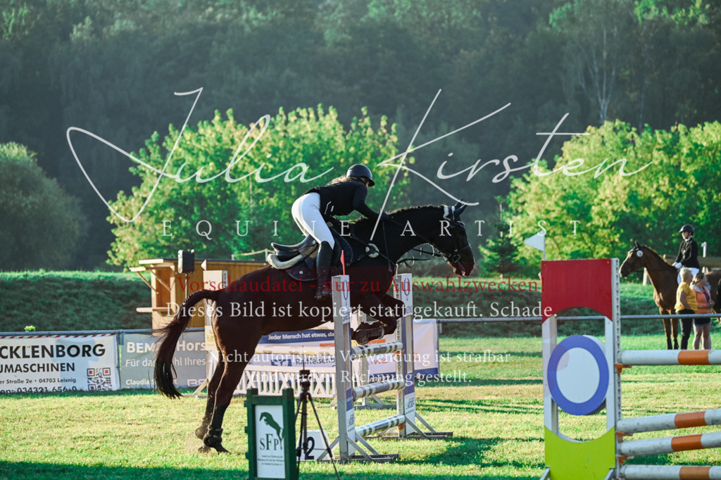 DSC_3857 | Pferde- und Turnierfotografie in Westsachsen. Pferdeportraits, Auftragszeichnungen und intuitive Kunst.